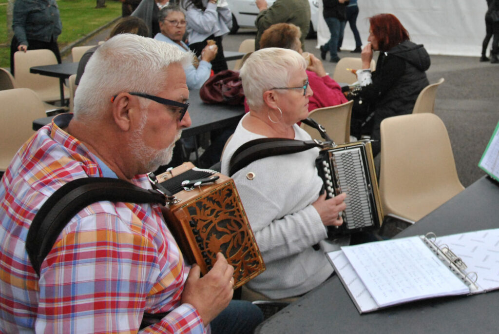 csc elven accordeon